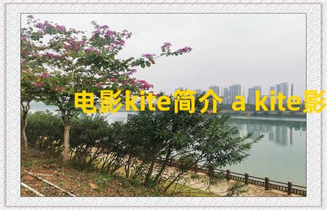 电影kite简介 a kite影评